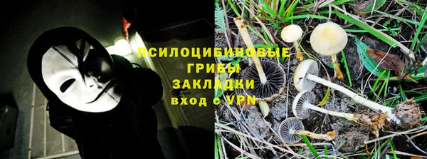 прущая мука Касимов