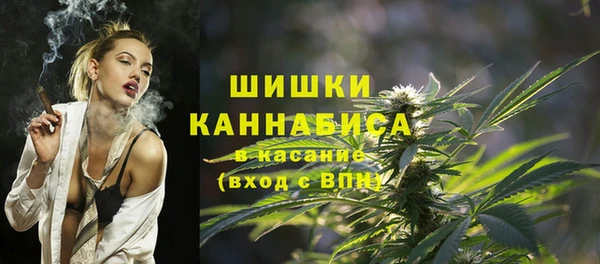 прущие крисы Инта
