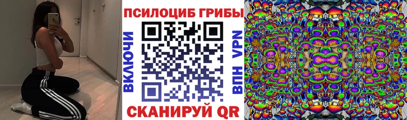 где купить   Кола  гидра сайт  Псилоцибиновые грибы мухоморы 
